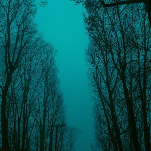 4 - Movement VII - Julien Marchal, Robot Koch