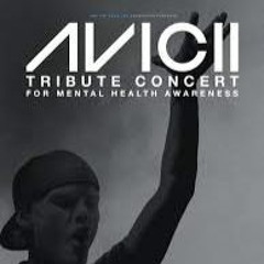 Avicii - Hey Brother (Live Vocals by Dan Tyminski)