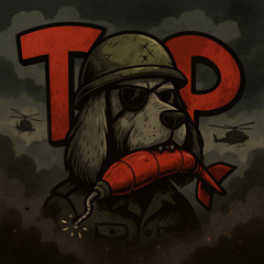 War Pigs (Cover)
