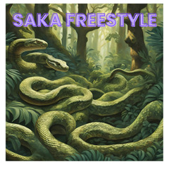 Saka freestyle 🪜🐍
