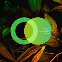 The Future (Original Mix)
