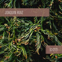 Dynamic Reflection Podcast Series 013: Joaquin Ruiz