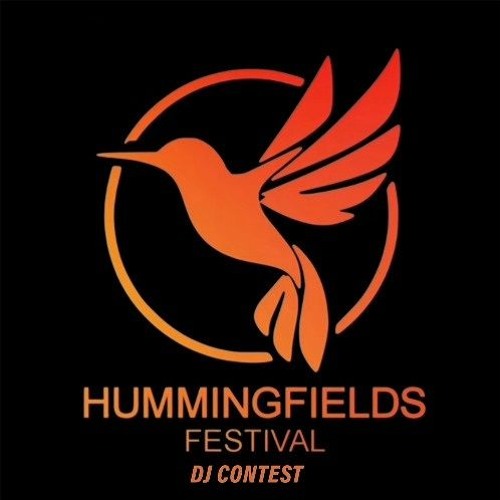 MIKHO – Hummingfields Festival dj contest 2025