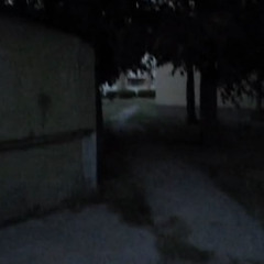 horrors of the night