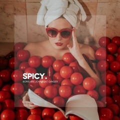 Boris Brejcha feat. Ginger - Spicy (Original Mix)