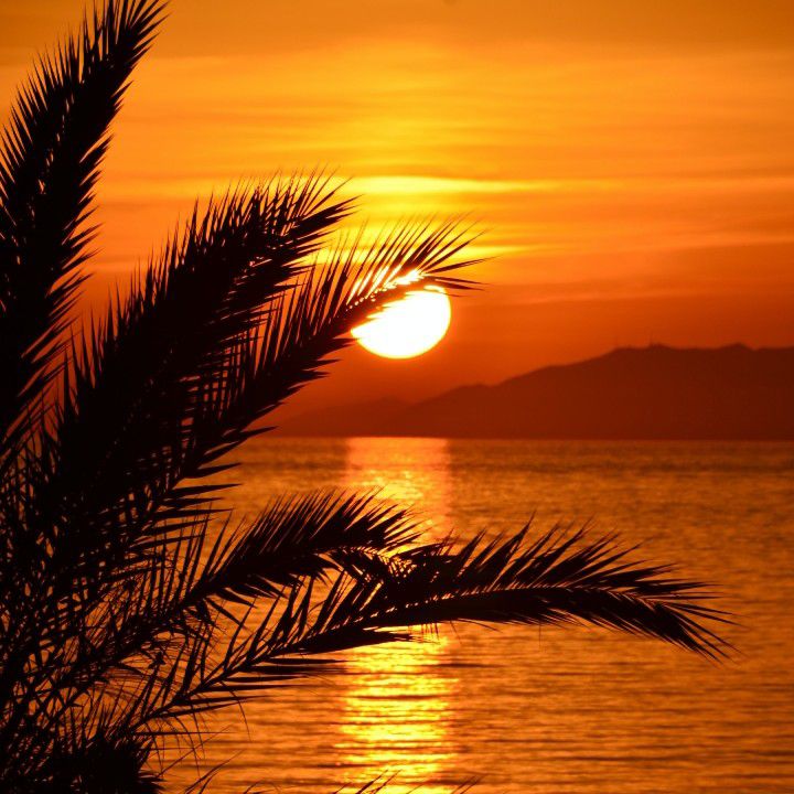 Holly Dolly “Dolly Song” (Leva’s Polka)