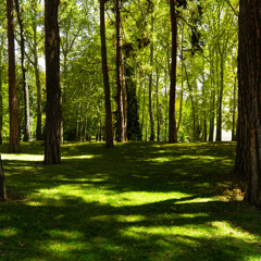 To find meaning (Prod. Larkin)