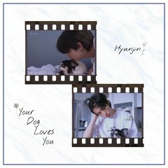 Hyunjin - Your Dog Loves You (cover Colde)