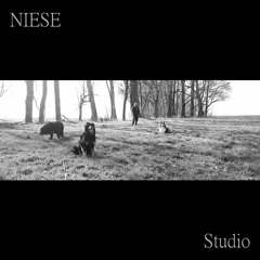 NIESE - Coffee And Sweets (Radioedit)