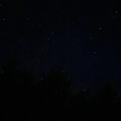 Trap,Elektro,Piano, 808