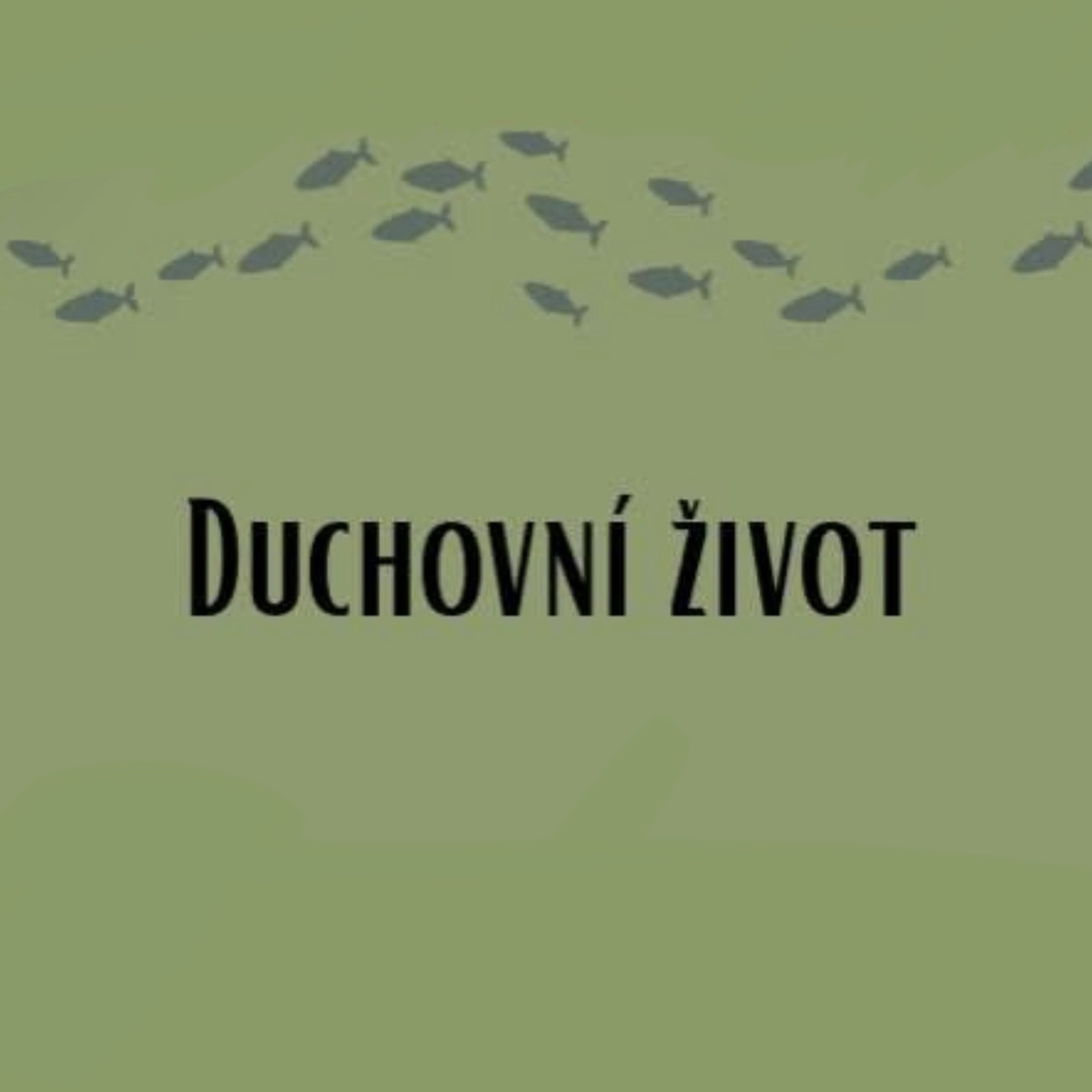 Duchovní dary - David Bubík 7.6.2026 CBH Chomutov episode artwork