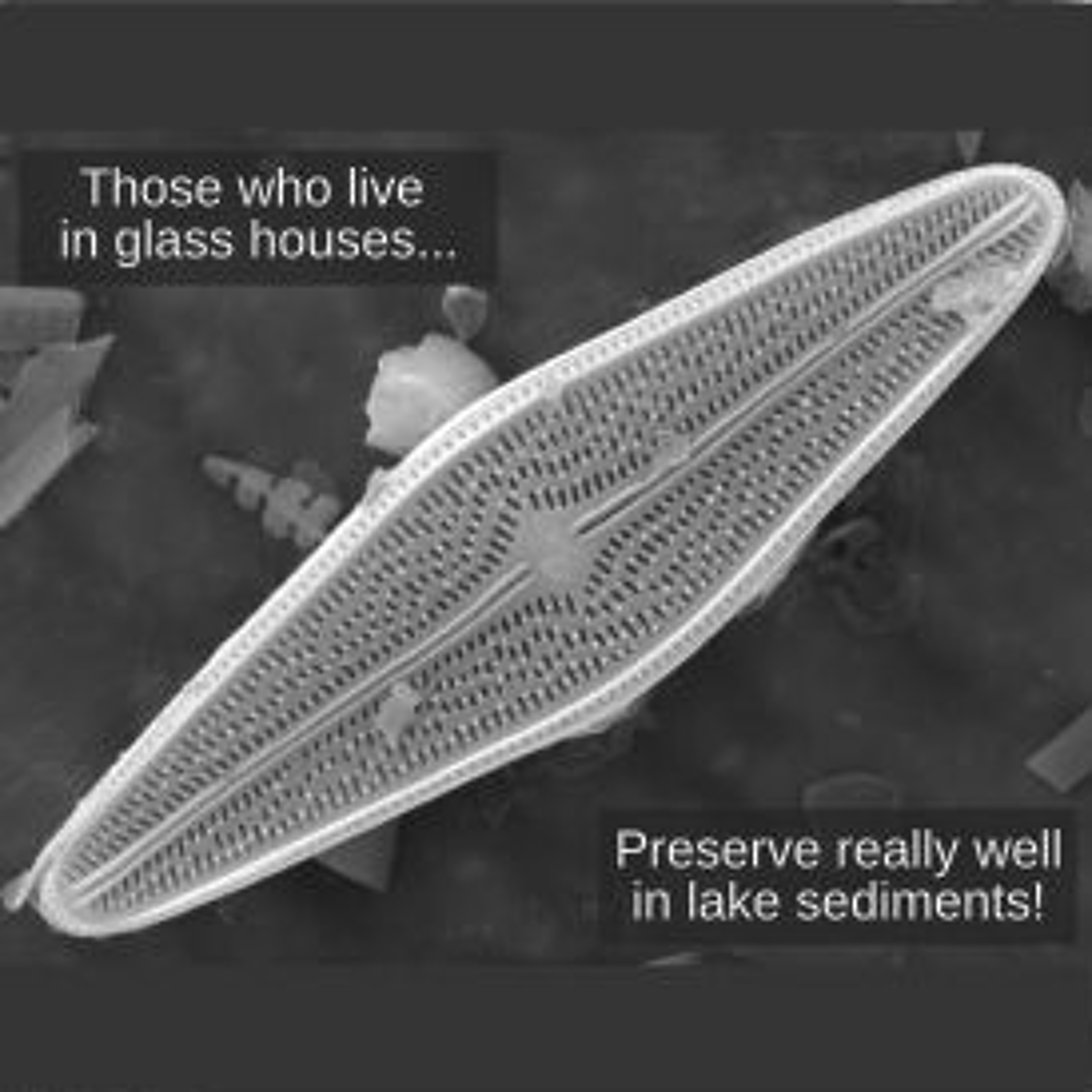 Core Ideas - The Paleolimnology Podcast