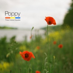 Poppy