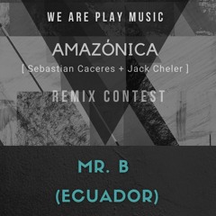 Mr. B - Sebastian Caceres & Jack Cheler - AMAZONICA REMIX - FREE DL