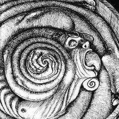 Spiral (prod. By Armadillo beats)