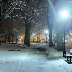 COLD NIGHT