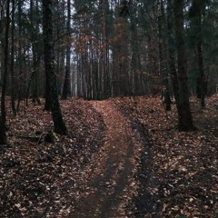 Forest/Dark Psychedelic Trance Dj set