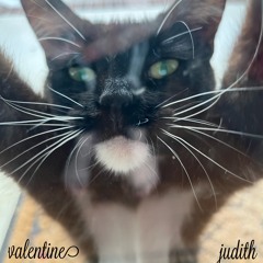 valentine