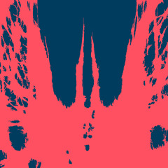 MMXXVVCLLR