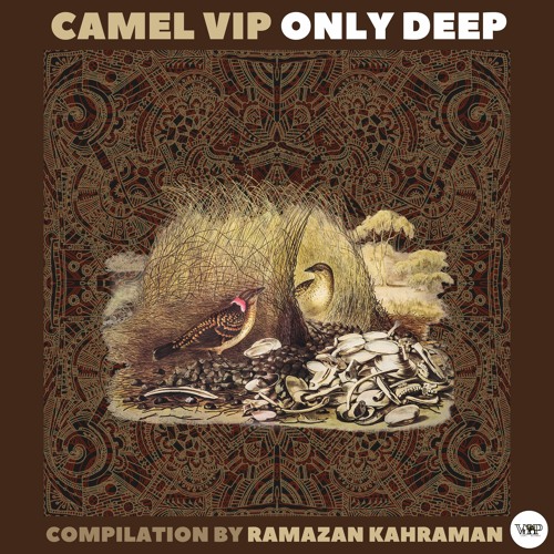 Camel Vip Records Stream ๐๐๐ฆ๐๐ฅ ๐๐๐ ๐๐๐๐จ๐ซ๐๐ฌ | Listen to Camel VIP Only Deep - Compilation ...