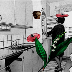 slip on the lid