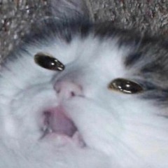 choking on a flute type beat