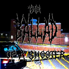 the ballad of a shooter