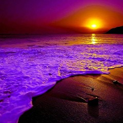 Brand New Day (Mike Maher)