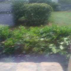 1 Hour Of RELAXING Fortnite Theme Song And Rainstorm Ambience