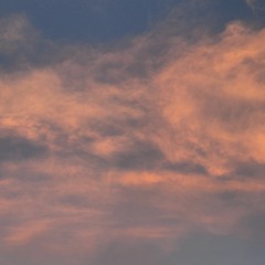 그럴 수도 있지(Demo)