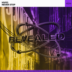 Never Stop (Extended Mix)