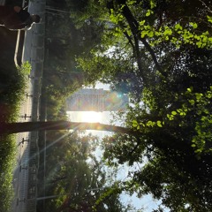 A Silver Lining (2025) for string quartet