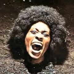The Maggot Connection (Free Download)