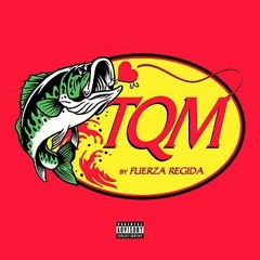 Fuerza Regida - TQM Lyrics 2023