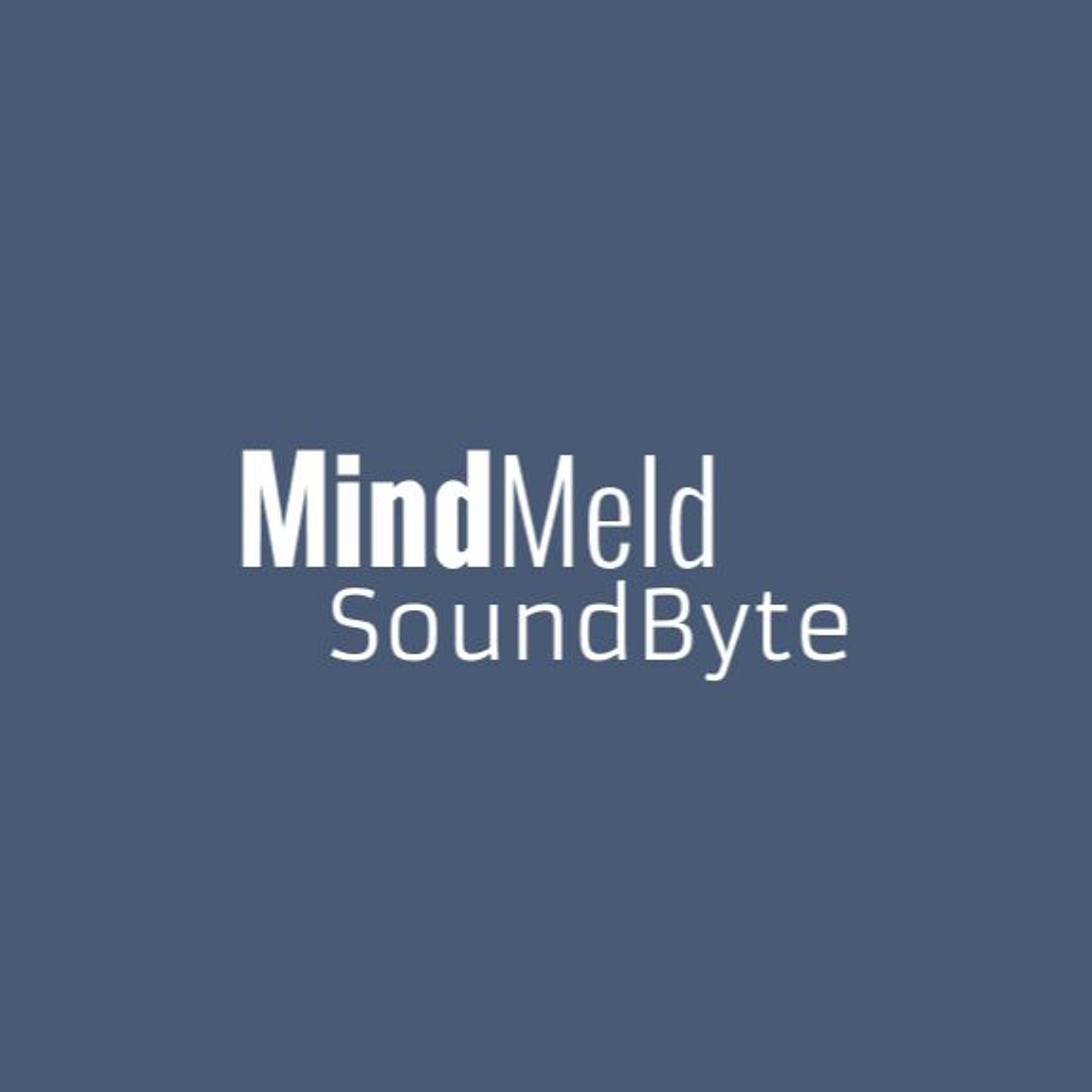 MindMeld by DeveloperTown