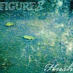 FIGURE 8 - Hush (Acoustic)