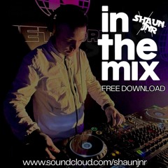 SHAUN JNR - IN THE MIX ( FREE DOWNLOAD )