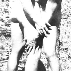 The Hollywood Handsome