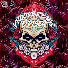 Droodbreaks - Odisea 💀🌹