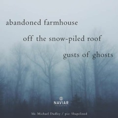 abandoned Farmhouse ( Naviarhaiku 361 )