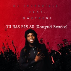 Tu Nas Pas Su (Gouyad Remix) Feat. Dwetbeni