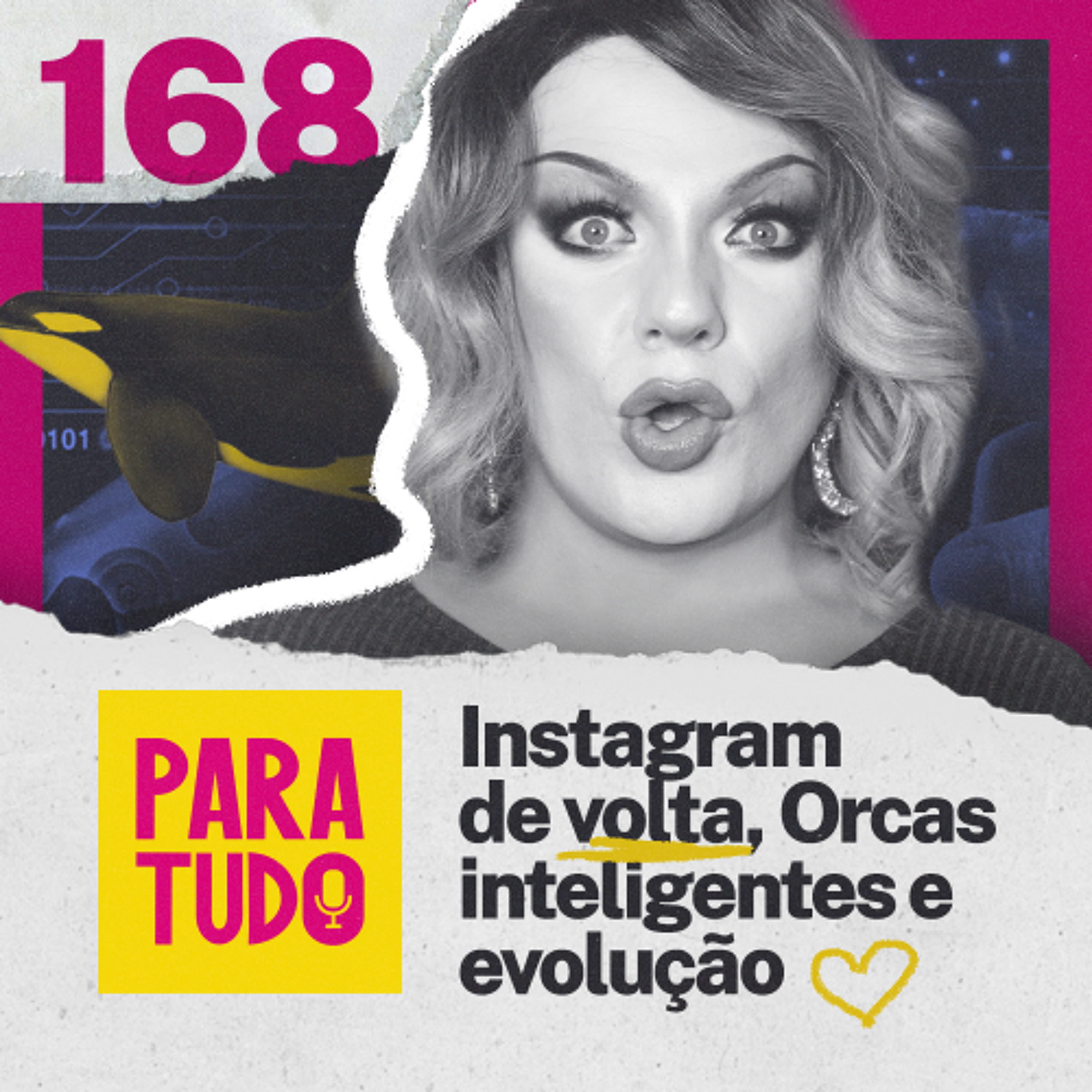 #168 - Recuperei meu Instagram e brisa com bichos