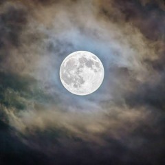A wish upon the stars