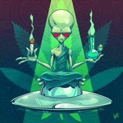 Wild Tribe