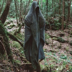 Aokigahara