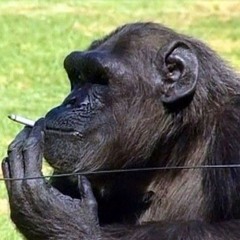 FAJOS ft. exxe (prod. dowker)