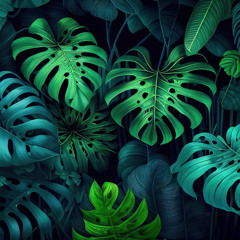 Tropical Heat