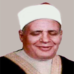 الشيخ عزت العناني