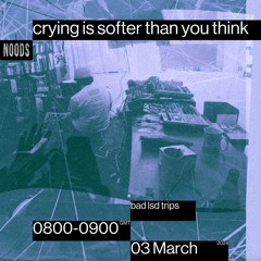 Noods Radio #12 - crying is softer than you think - bad lsd trips (03/04/2024)