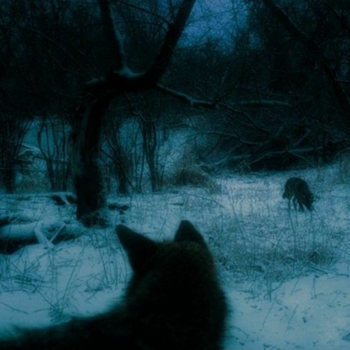 FROSTBITE (prod. DEAD RISE x foria) [video in desc.]